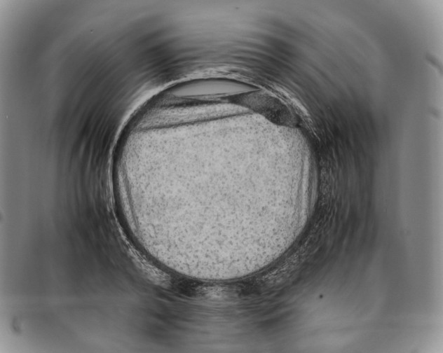 X0000096700792200803041320