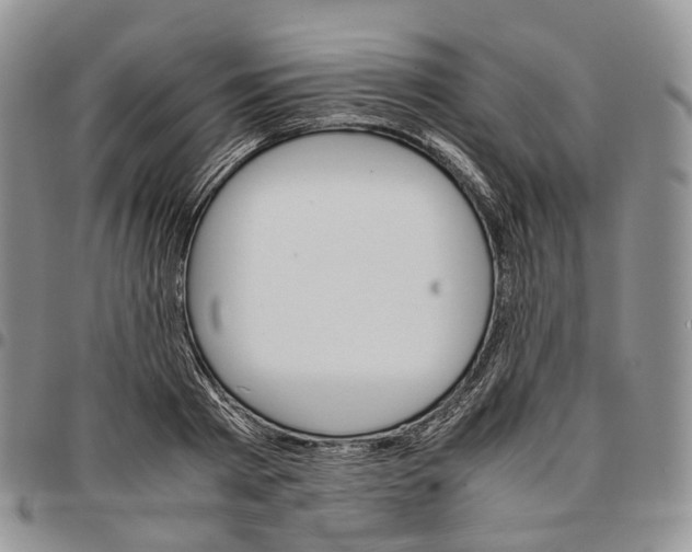 X0000096700793200803041320