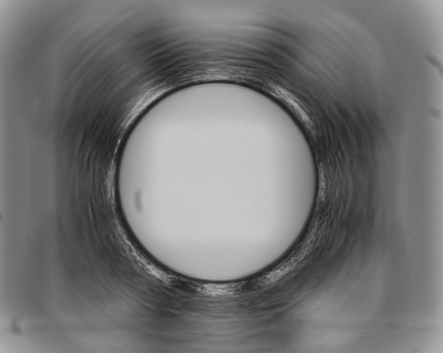 X0000096700794200803041320