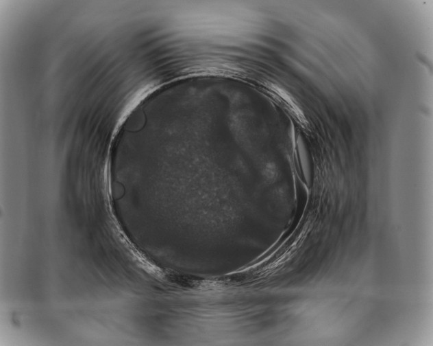 X0000096700796200803041320