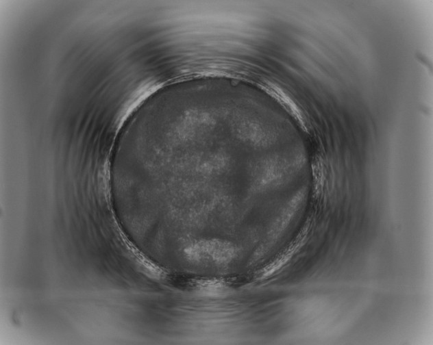 X0000096700798200803041320