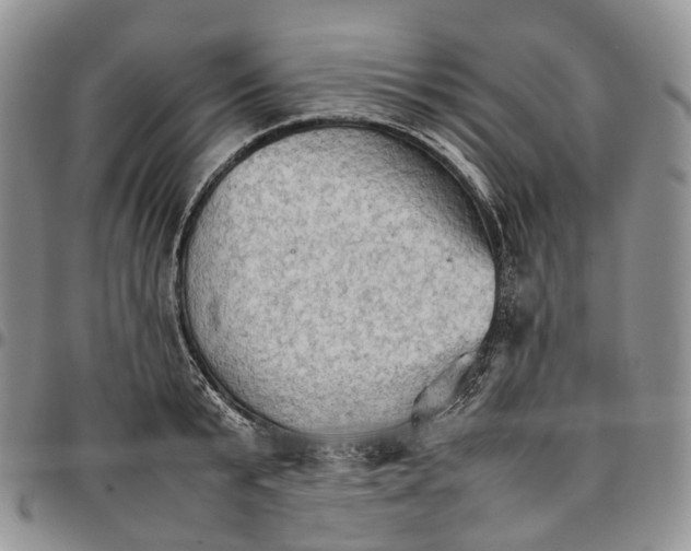 X0000096700799200803041320