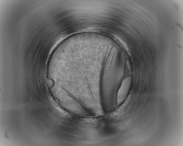 X0000096700800200803041320