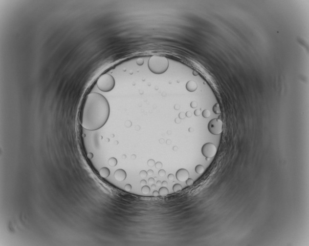X0000096700803200803041320