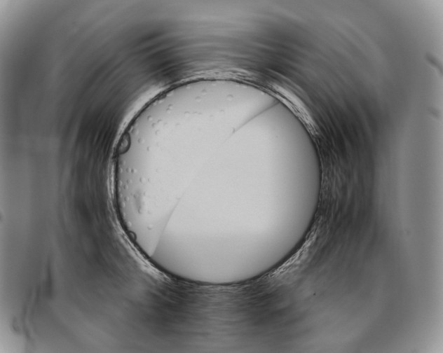 X0000096700804200803041320