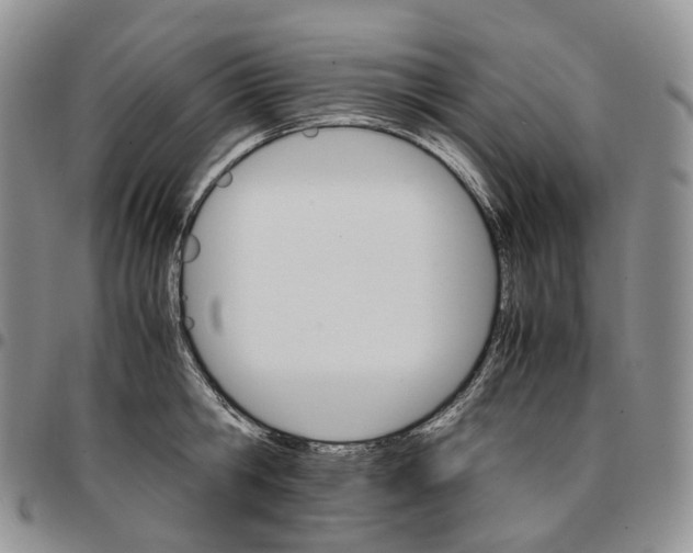 X0000096700806200803041320