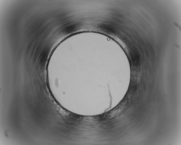 X0000096700807200803041320