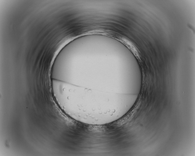 X0000096700808200803041320