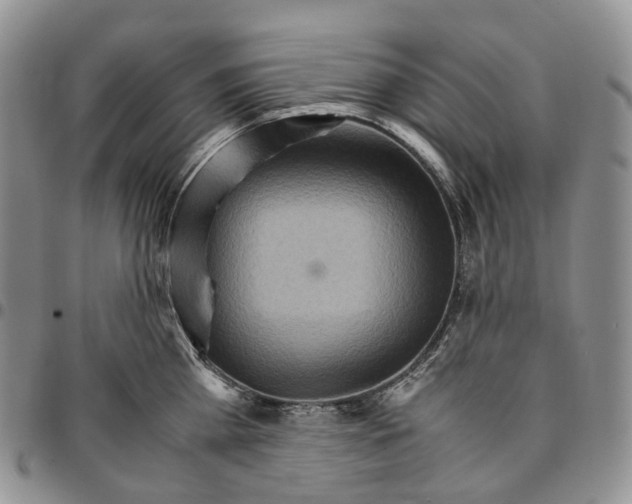 X0000096700809200803041320