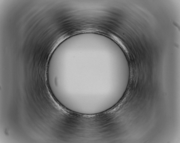 X0000096700810200803041320