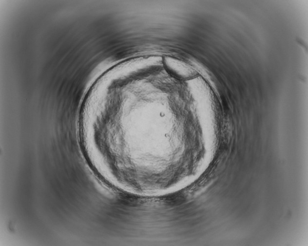 X0000096700811200803041320