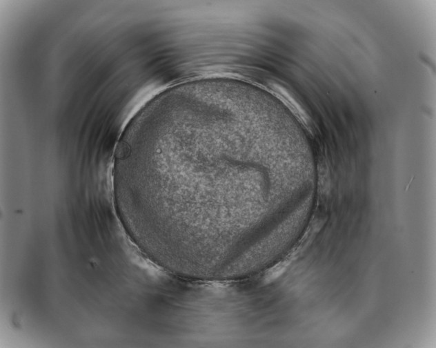 X0000096700814200803041320