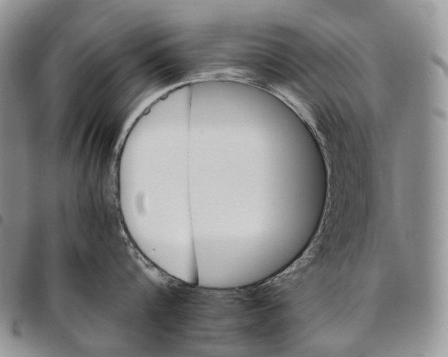 X0000096700816200803041320