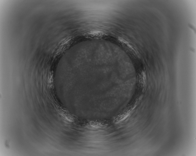 X0000096700818200803041319