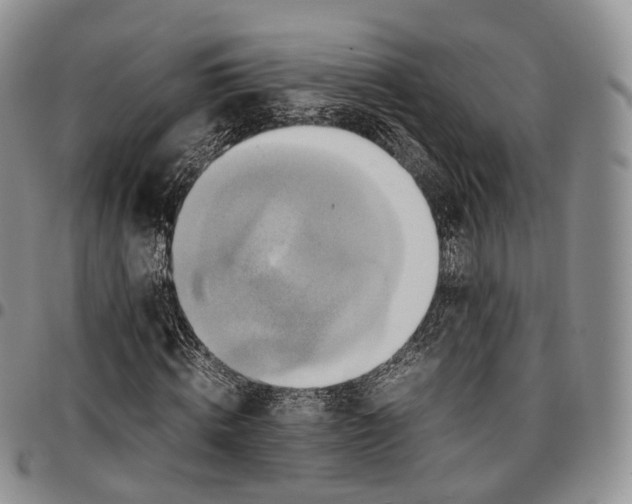 X0000096700820200803041319