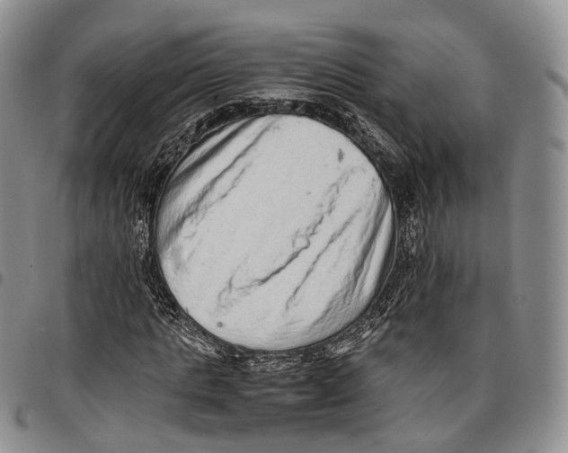 X0000096700821200803041319