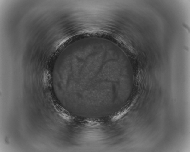 X0000096700822200803041319