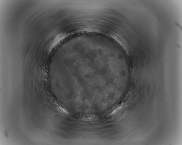 X0000096700823200803041319