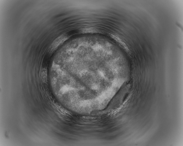 X0000096700825200803041319