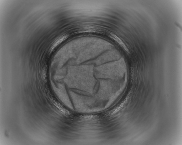 X0000096700826200803041319