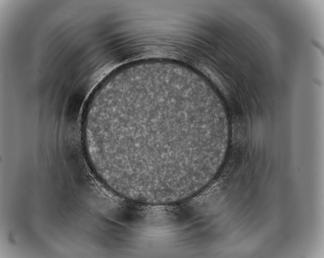 X0000096700828200803041319