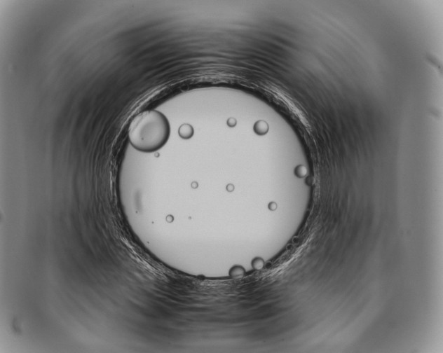 X0000096700829200803041319