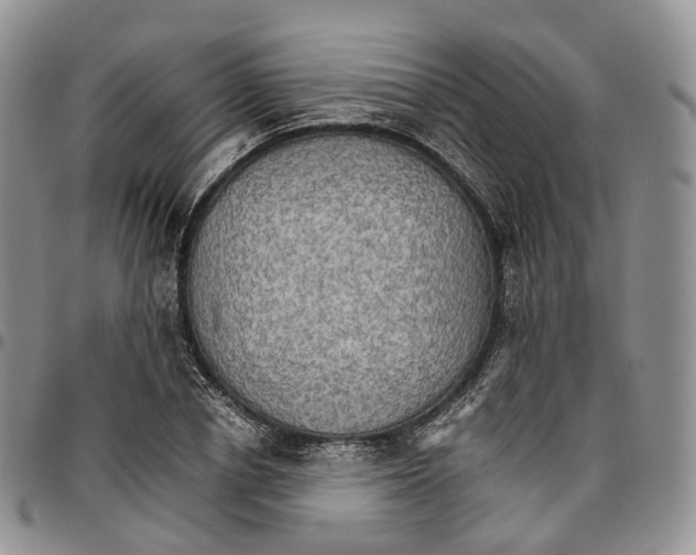 X0000096700834200803041319