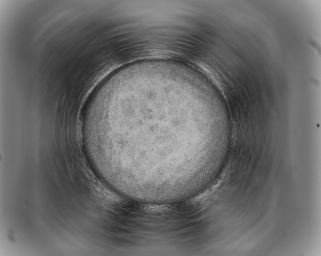X0000096700835200803041319