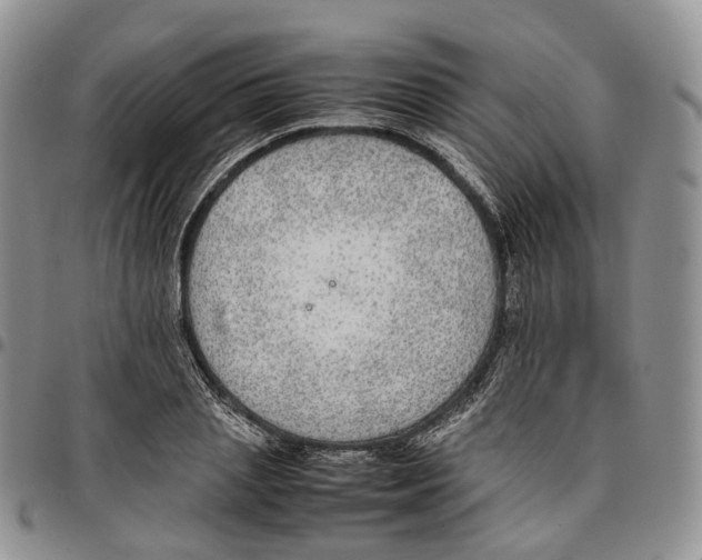 X0000096700837200803041319