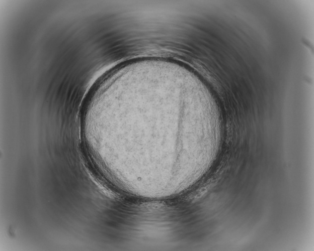 X0000096700838200803041319