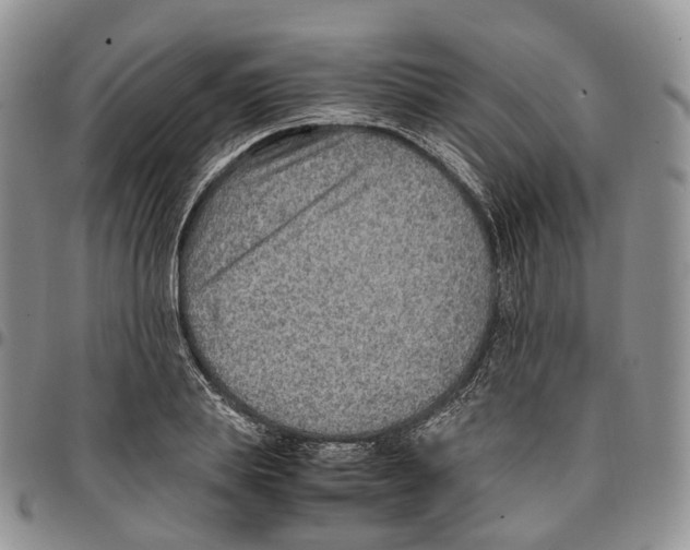 X0000096700839200803041319