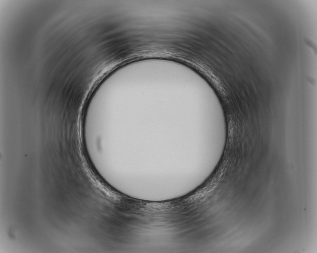 X0000096700840200803041319