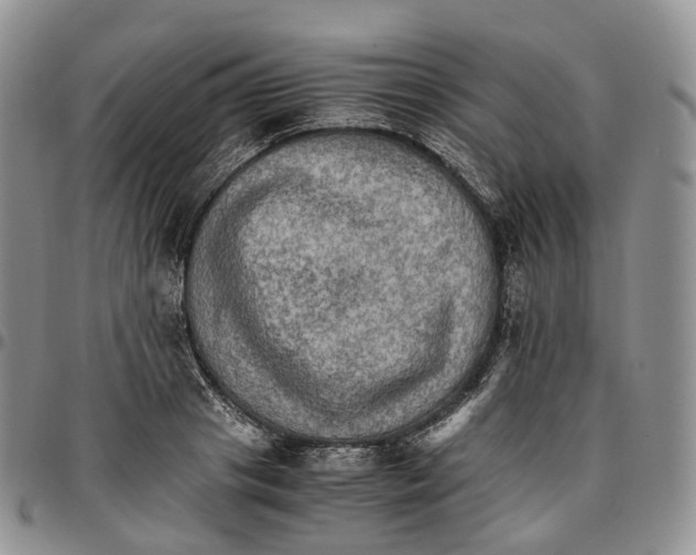 X0000096700841200803041319