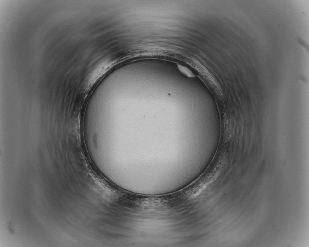 X0000096700842200803041319