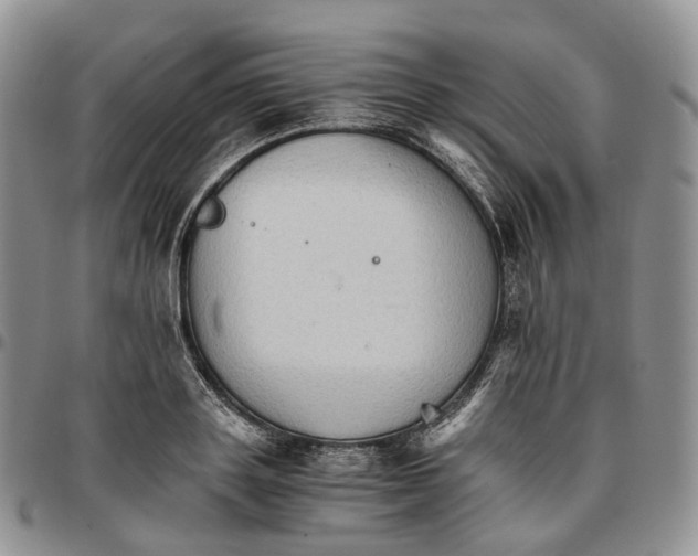 X0000096700843200803041319