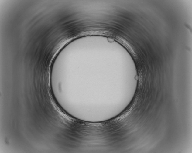 X0000096700844200803041319