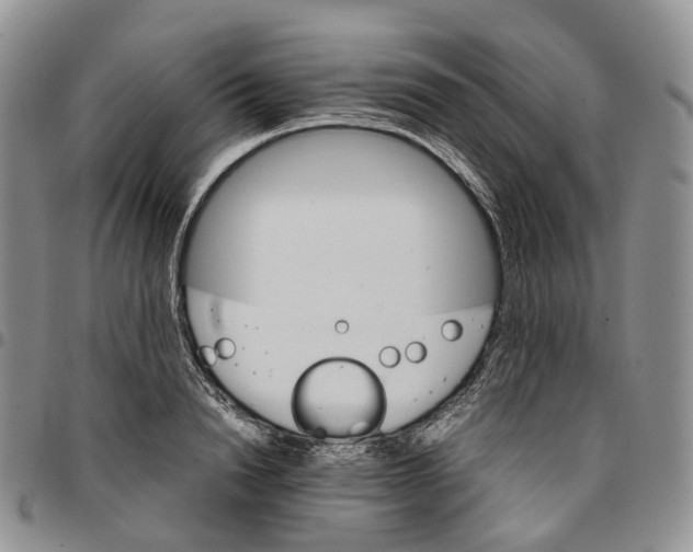 X0000096700846200803041319