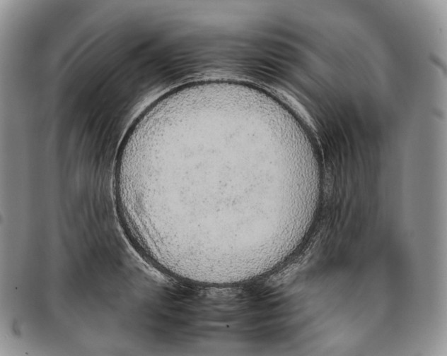 X0000096700847200803041319
