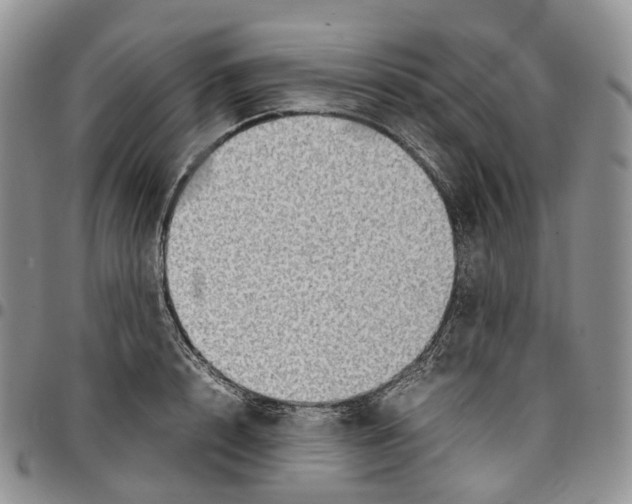 X0000096700848200803041319
