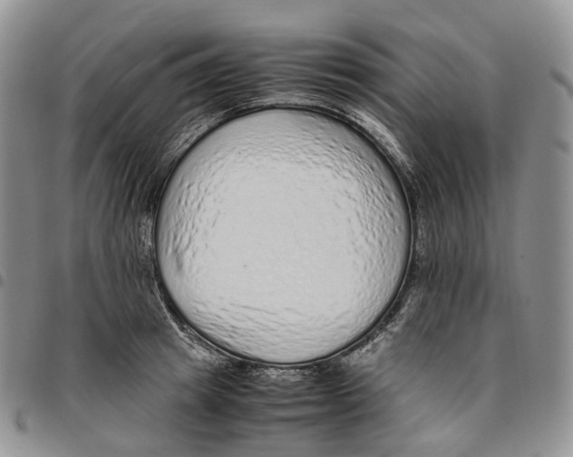 X0000096700849200803041319