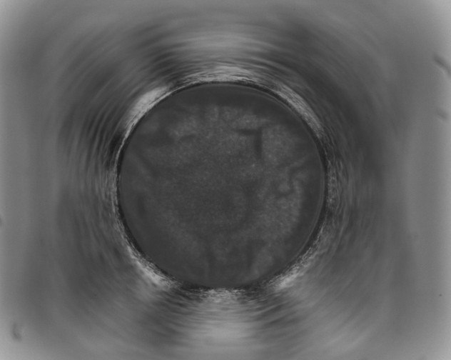 X0000096700850200803041319