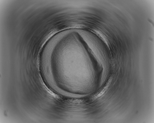 X0000096700851200803041320