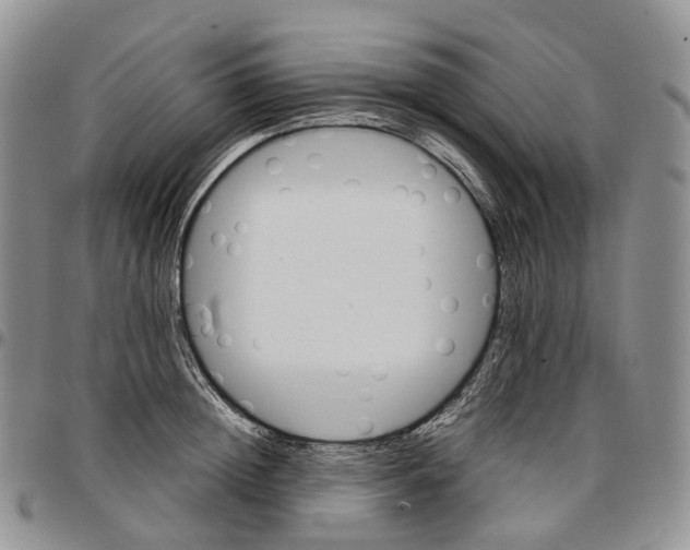 X0000096700852200803041320