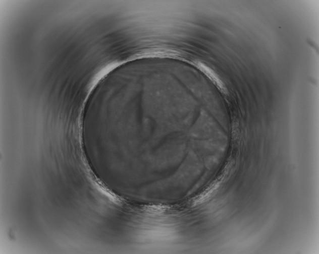 X0000096700854200803041320