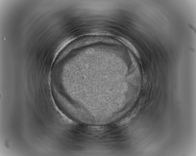 X0000096700855200803041320