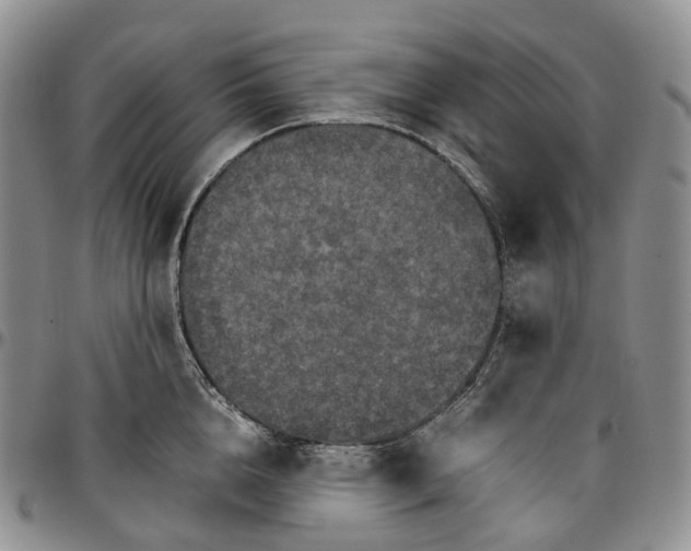 X0000096700856200803041320