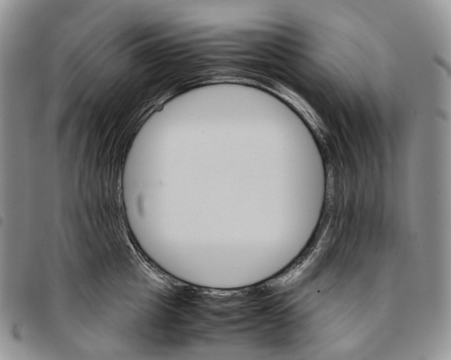 X0000096700857200803041320