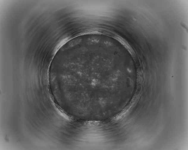 X0000096700858200803041320