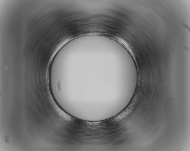 X0000096700859200803041320