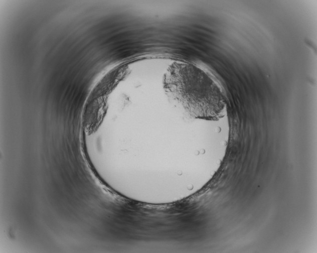 X0000096700861200803041320